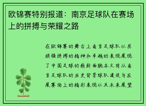 欧锦赛特别报道：南京足球队在赛场上的拼搏与荣耀之路